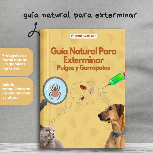 🛡️ Soluciones Naturales contra Pulgas y Garrapatas