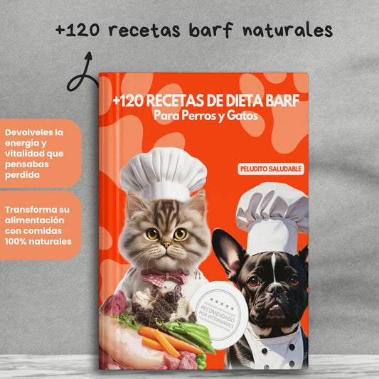 🥩 +120 Recetas BARF Fáciles de Preparar