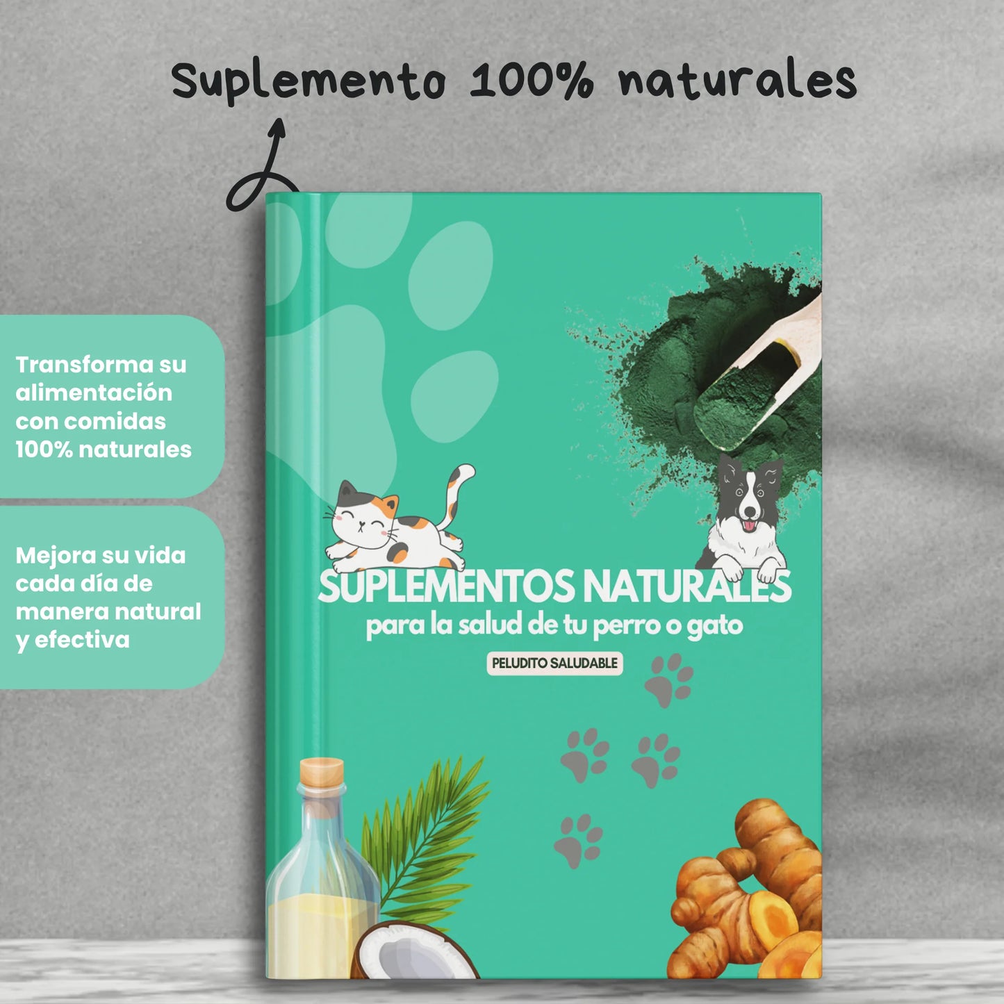 🌿 Recetario Suplementos Naturales para Cada Necesidad