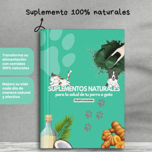 🌿 Recetario Suplementos Naturales para Cada Necesidad